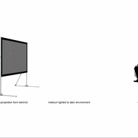 WraithVeil (rear projection)