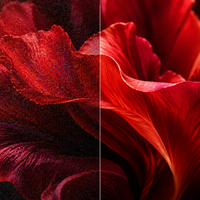 CineGrey - Screen Material Sample (DIN A4)