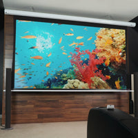 Used - Very Good// SAKER PREMIUM - MaxWhite FG / 16:9 / 120" (266x149 - Top-Drop 50cm) // B-SK120XHW-E20 - 245H01259